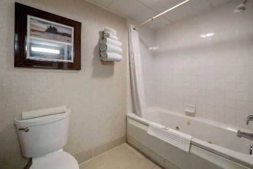 Comfort Inn Humboldt Bay - Eureka image 13