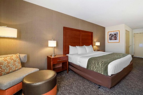 Comfort Inn Humboldt Bay - Eureka image 14