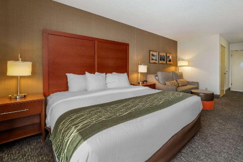 Comfort Inn Humboldt Bay - Eureka image 4