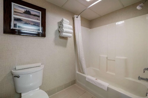 Comfort Inn Humboldt Bay - Eureka image 5